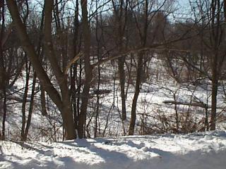 Spencer Creek in the winter
