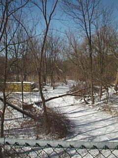Spencer Creek-a winter view