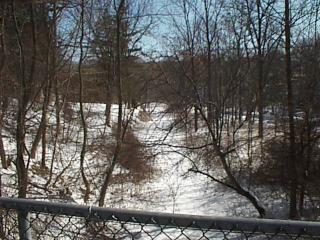 Spencer Creek-a winter view