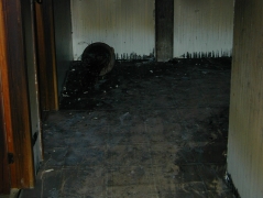 Old Stone Gallery fire picture.Passage outside washrooms
