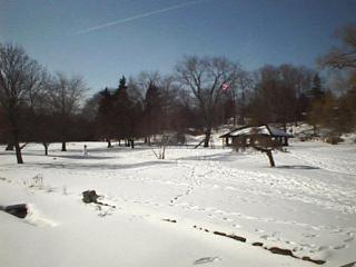 A winter view of Websters Falls Park