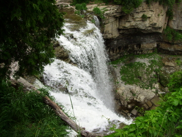 Websters Falls-a top view