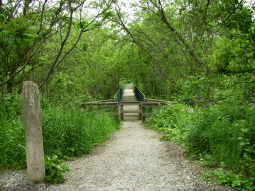 The footbridge across Spencer Creek at Bullocks Corner
