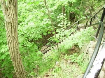 Stairs down to base of Websters Falls
