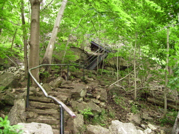 Stairs up from base of Websters Falls